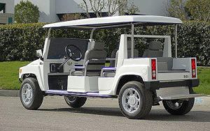 affordable golf cart rental, golf cart rent hallandale beach, cart rental hallandale beach