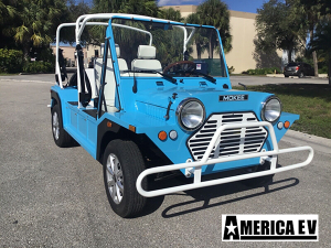 affordable golf cart rental, golf cart rent hallandale beach, cart rental hallandale beach