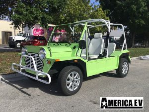 affordable golf cart rental, golf cart rent hallandale beach, cart rental hallandale beach