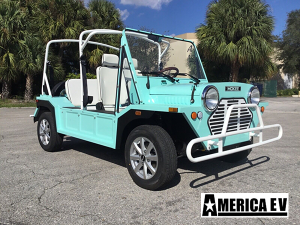 affordable golf cart rental, golf cart rent hallandale beach, cart rental hallandale beach