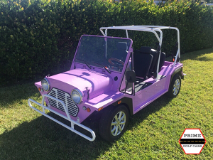 affordable golf cart rental, golf cart rent hallandale beach, cart rental hallandale beach