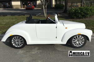 affordable golf cart rental, golf cart rent hallandale beach, cart rental hallandale beach