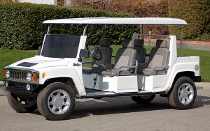 affordable golf cart rental, golf cart rent hallandale beach, cart rental hallandale beach