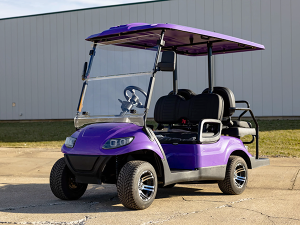 hallandale beach golf cart, golf cart rental, golf cars for rent